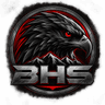 BlackHawk Security logo